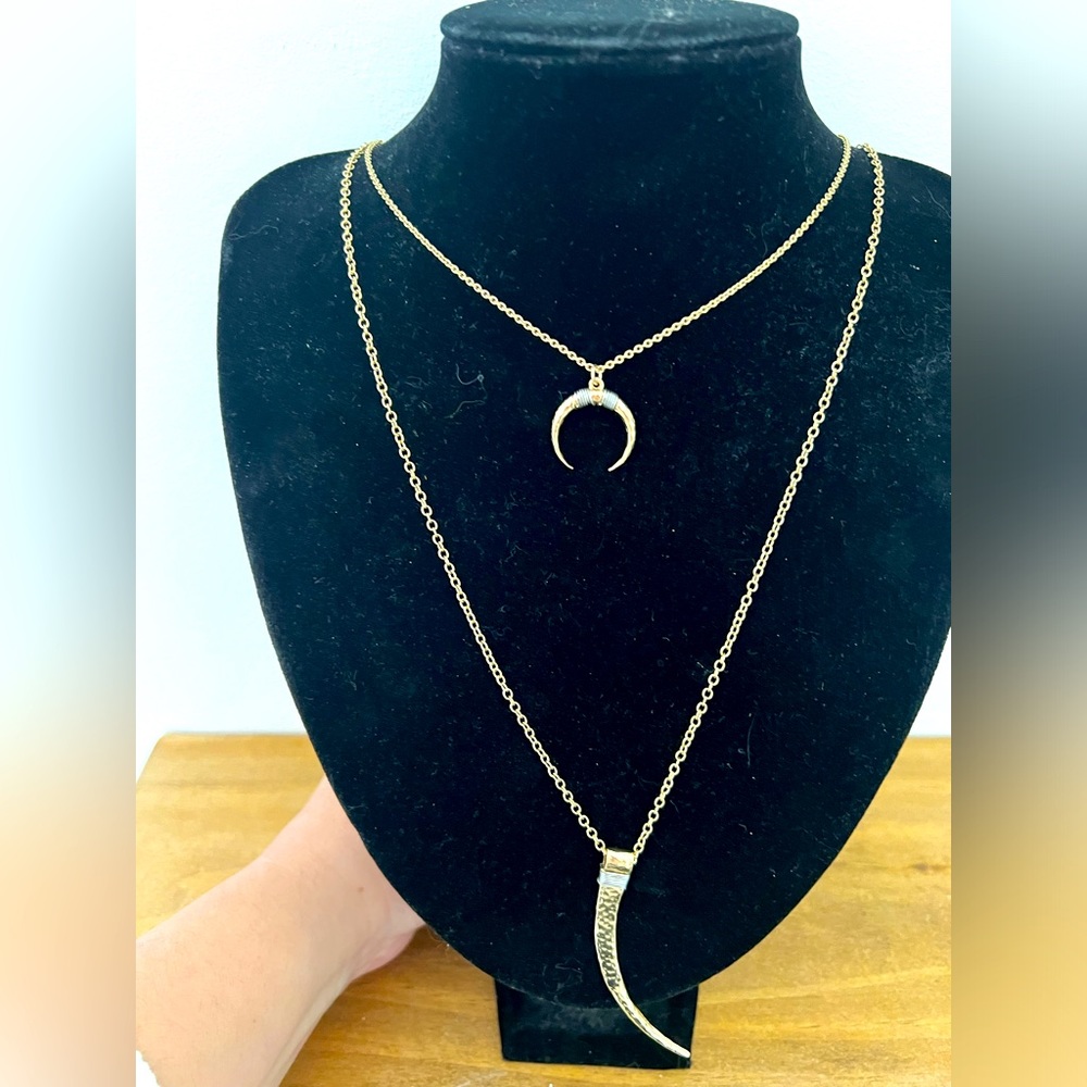 Double Layer Silver & Gold Tone Horn Long  Fashion Necklace